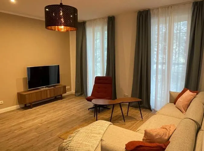 公寓 * Luisengruen * Magenta Tv Netflix 1gb/s Internet Wlan/wifi Waschmaschine 开姆尼茨